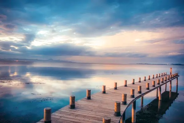 机械专业开什么课程课