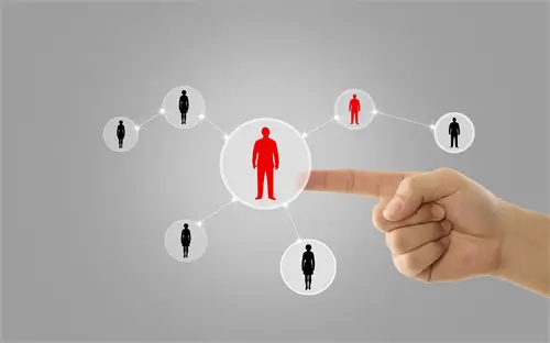 桂花栽种要求是什么